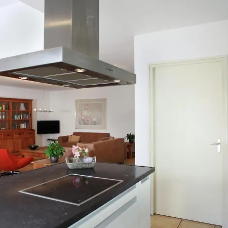 Beautiful Holiday Home In Noordwijik Ann Zee Near The Beach 노르트베이크